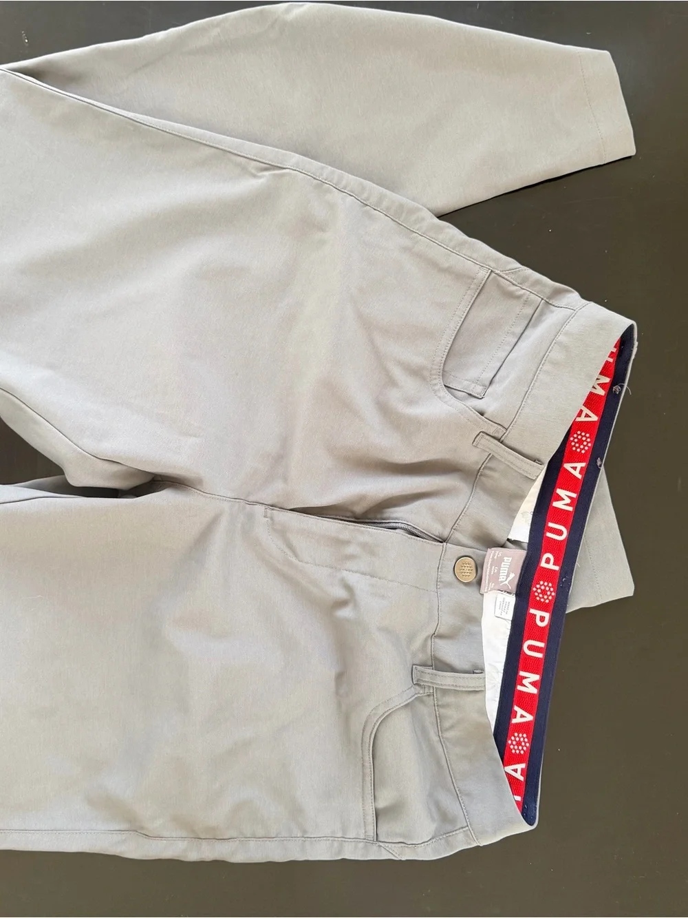 Puma Men’s Light Gray gold pants